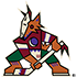 Arizona Coyotes Arizona Coyotes